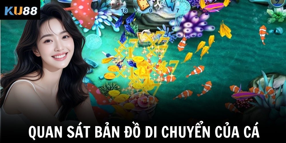 Quan sát bản đồ di chuyển của cá